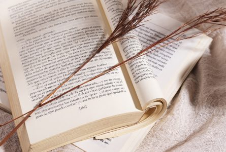 13 recomendaciones de libros de salud y medicina alternativa