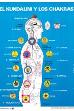 Lámina Kundalini y los Chakras